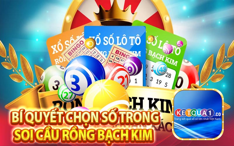 Bí quyết chọn số trong soi cầu Rồng Bạch Kim