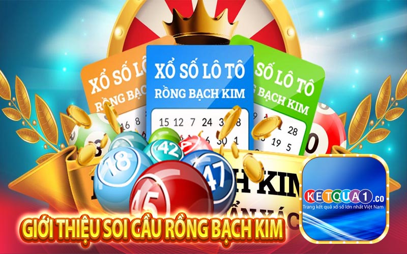 Giới thiệu soi cầu rồng bạch kim