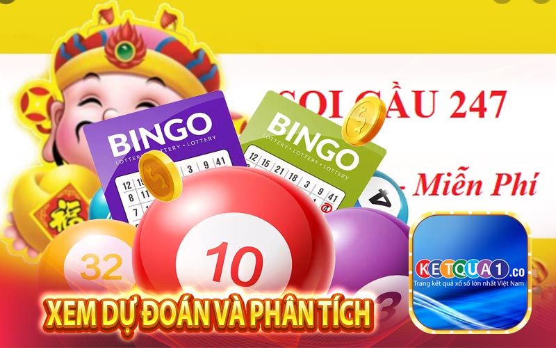 Xem dự đoán và phân tích