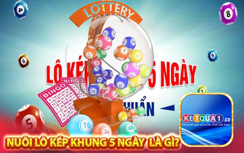 Nuôi lô kép khung 5 ngày là gì?