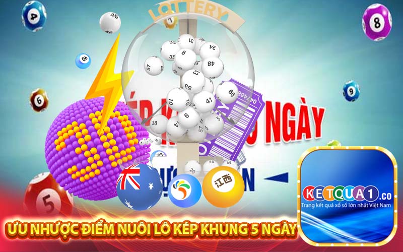 Ưu nhược điểm nuôi lô kép khung 5 ngày