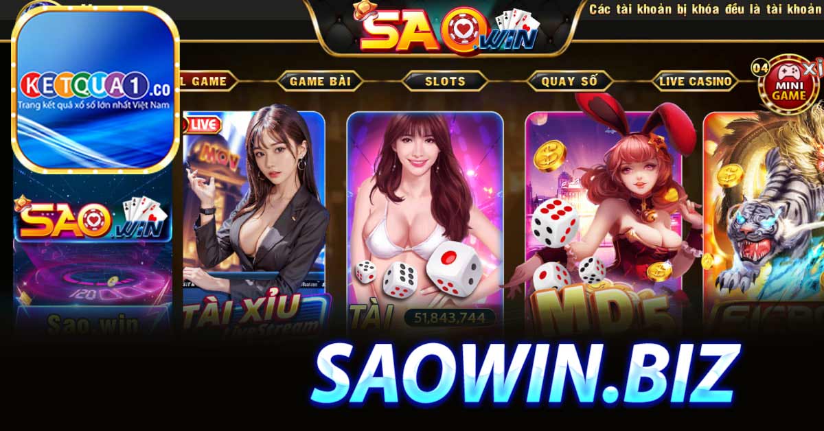 Đôi nét về Saowin