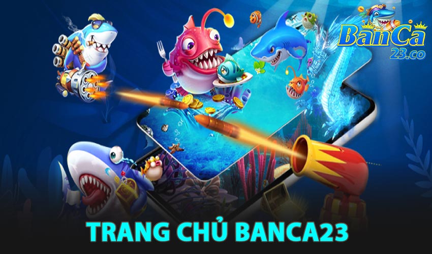 Giới thiệu về quá trình phát triển của Banca23